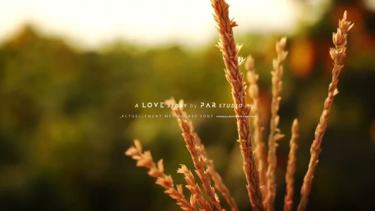 Wedding Cinema WED-001